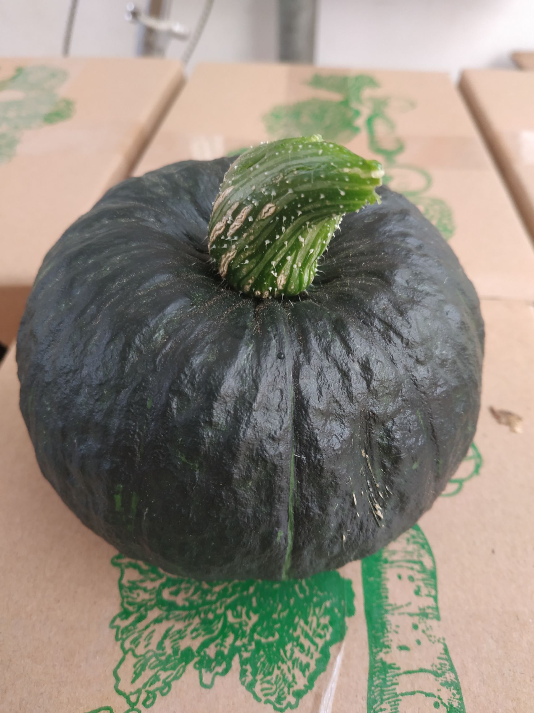 贝贝南瓜4-8个5斤装
