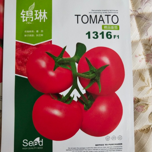 寿光市毛粉番茄苗 三叶一心
