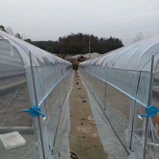 英德市连栋棚 鸡棚，菜棚，烧焊棚，组装棚，单体棚，