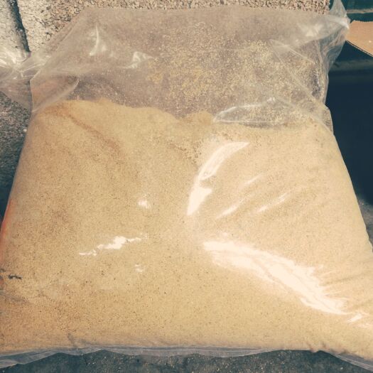 济南鱼粉 昆虫蛋粉