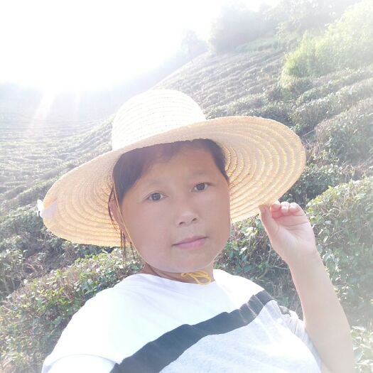 黄山黄山绿茶 茶农自产自销，质量保证，原产地安徽黄山市黄山区太平