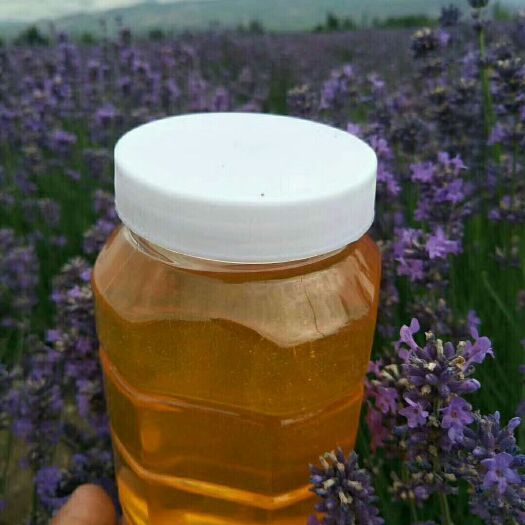 霍城县薰衣草蜂蜜 塑料瓶装 2年 95%以上