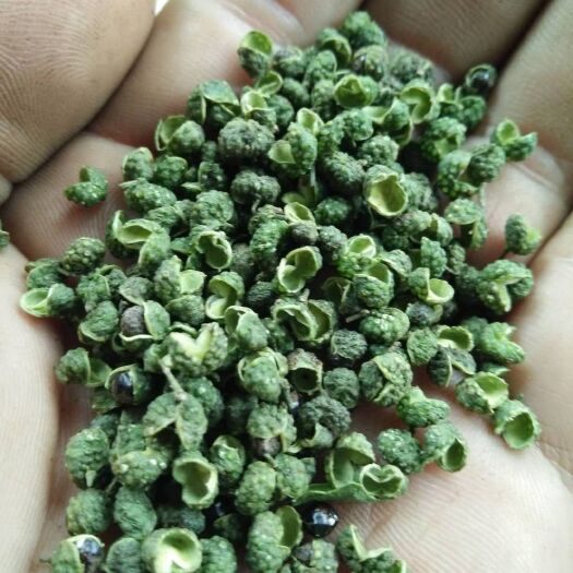 重庆市 青花椒