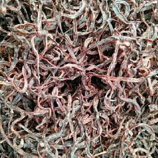 重庆市禽畜用饲料 成品蚯蚓出售了，可以钓鱼，种用饲料。同时供应脱水牛羊猪粪。