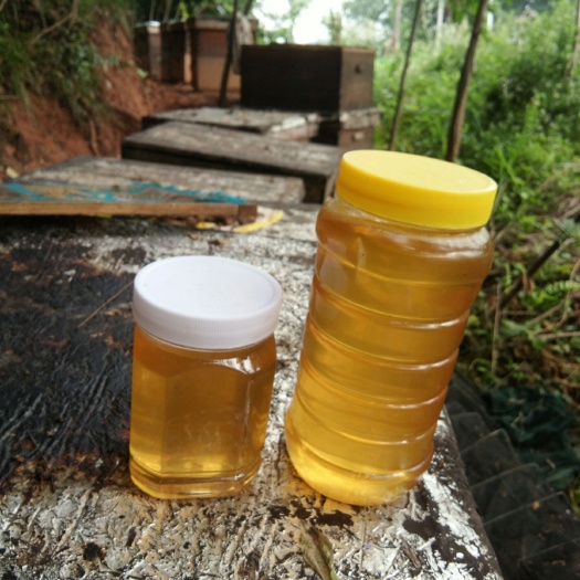 谷城县 荆条花蜂蜜，中国四大名蜜一一荆花蜜。