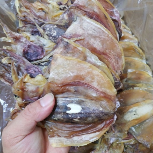 北海墨鱼，墨鱼干，乌贼，海鲜干货