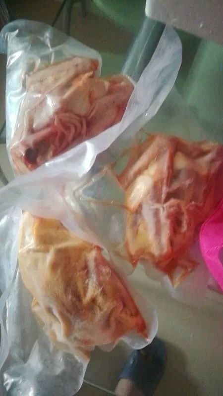 丰县乳鸽 土鸽子，炖汤佳品，顺丰包邮，下单后二十四小时发货