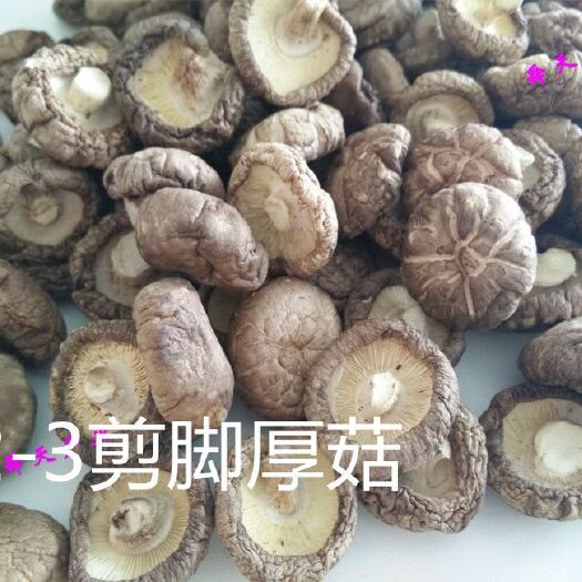 龙泉市 干香菇