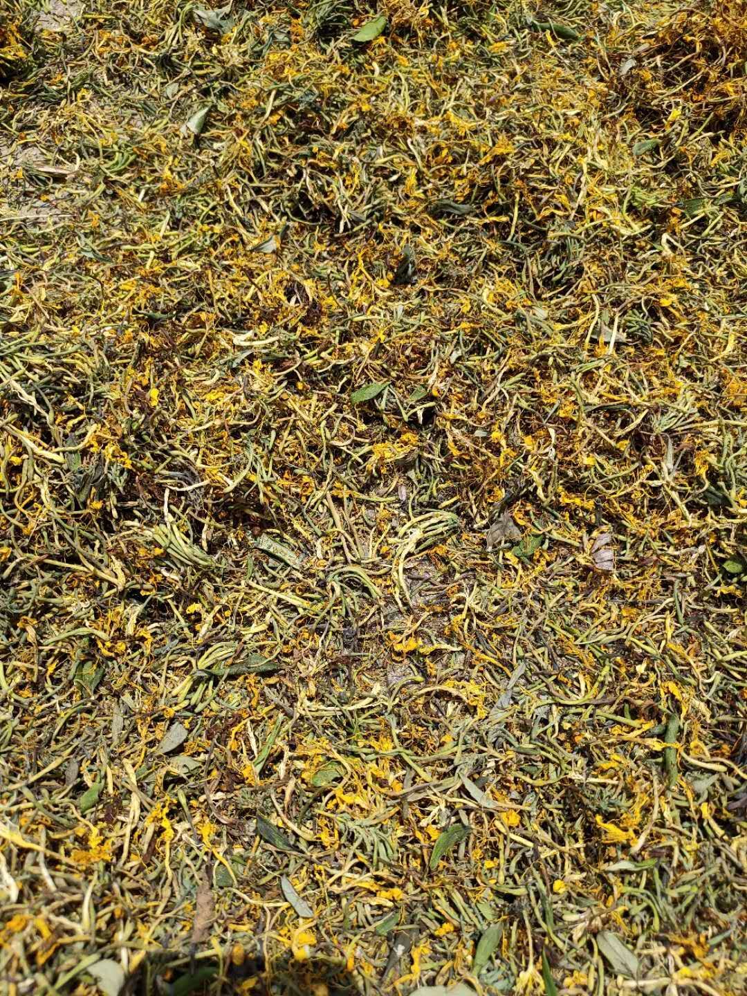 金银花干货广西金银花山银花无绒毛金银花