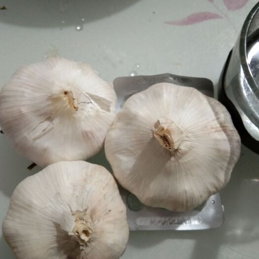 唐河县紫皮大蒜 新鲜干蒜