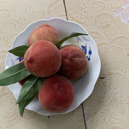 泾阳县水蜜桃 味美价廉，价格优惠！量大从优