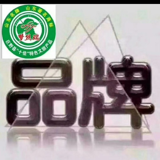 单县 蚕丝被