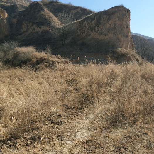 岚县仓储用地 招拍挂 20~30年 100~500亩