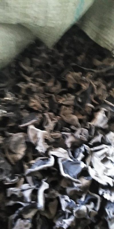 方正县椴树蜜 自产食用菌产品，蜂产品