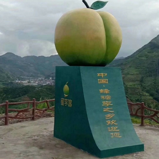 镇宁县正品蜂糖李，需要联系我自产自销原产基地直销，现摘现发一件代发