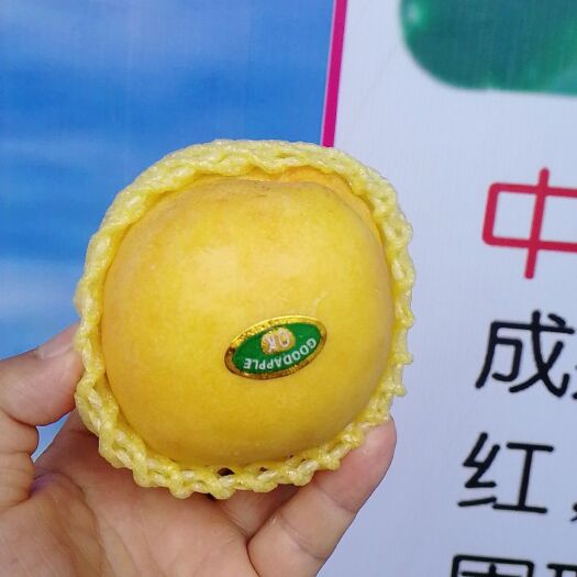 新绛县中油6号油桃 5两以上 60mm以上
