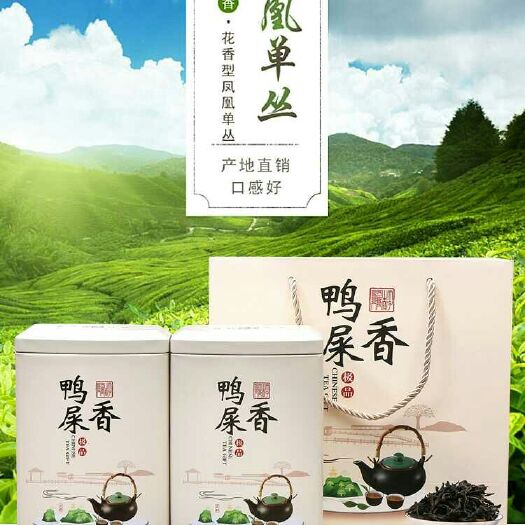 东莞市凤凰单丛 鸭屎香单丛