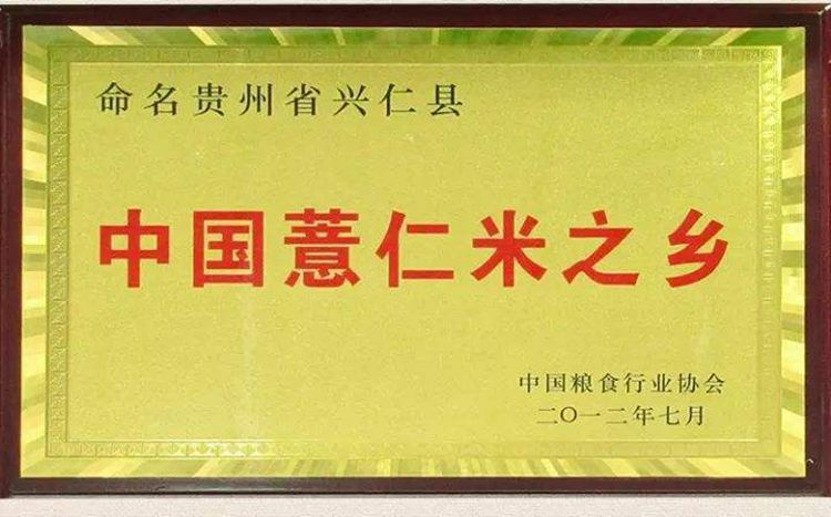 生薏仁  贵州薏仁米新鲜小白壳薏仁黄米土薏米养五谷杂粮450g包邮