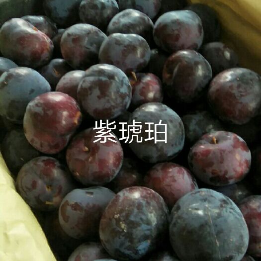 随县 紫琥珀色黑亮带粉，硬度好、味道甘甜,非常的美味应季热销中。