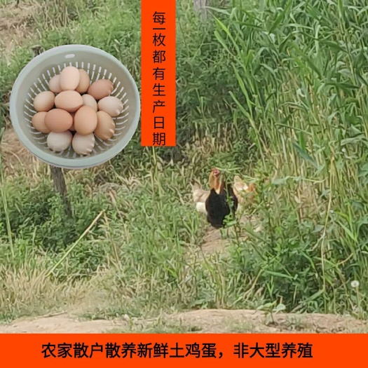  30枚正宗新鲜土鸡蛋，好吃您再来农家散户散养非大规模养殖