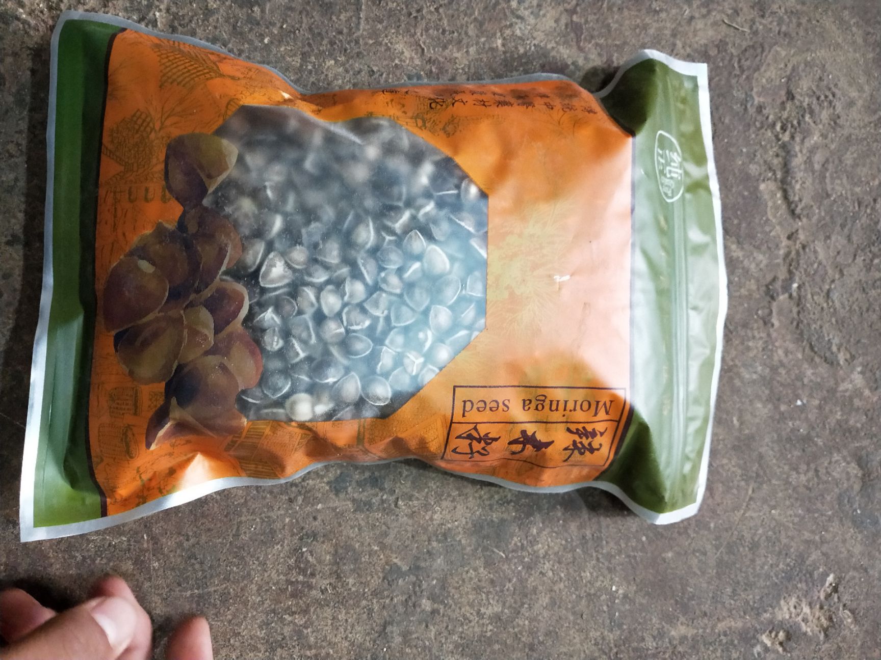 天然辣木籽  辣木籽 散装辣木子