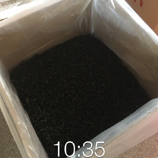 饶平县铁观音 单丛蜜兰香二春