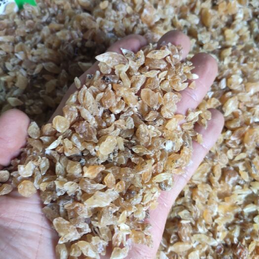 野蒜   薤白 中药材 正品保证 放心用 包邮
