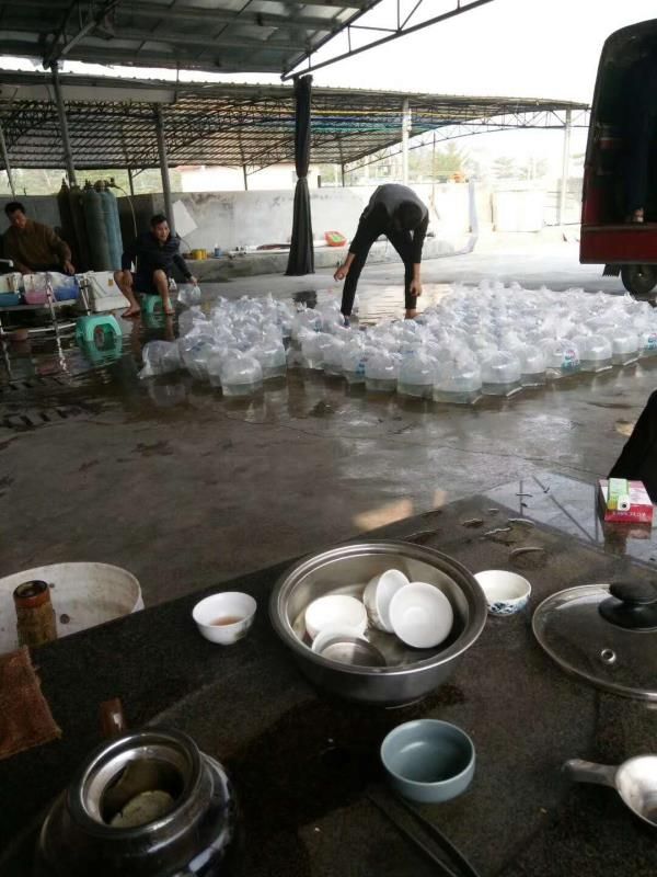  大头罗氏沼虾苗+只育供第一代苗/存活率高/全国包邮/包活