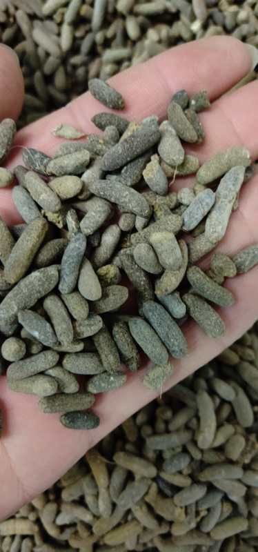 丰城市有机肥料 豚鼠粪便黑豚粪便荷兰猪粪便