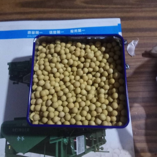 嫩江市小粒黄豆  精選大豆高蛋白