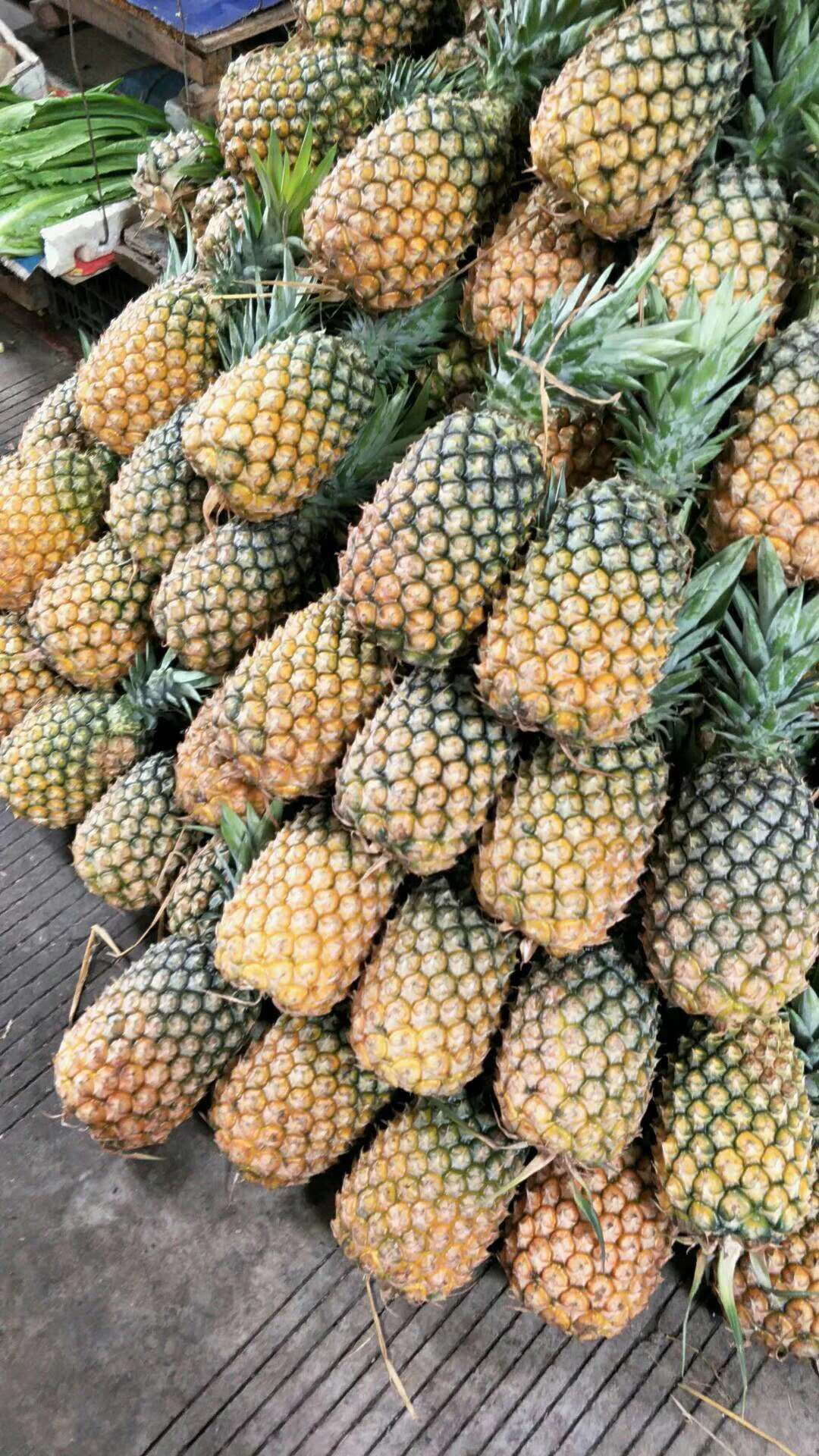 正宗缅甸凤梨 菠萝蜜手撕 批发价 坏果不发货