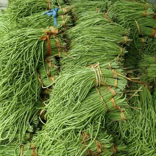 城固县长豇豆 干豇豆 新鲜上市 大量鲜货批发