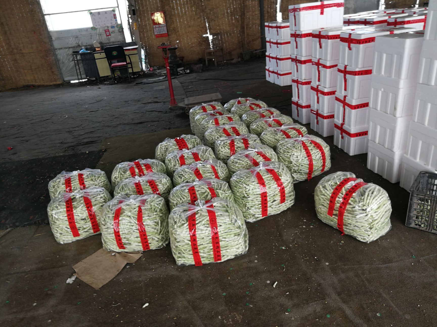 山东泰安德兴隆农业优质白芸豆南方市场商超平台直供
