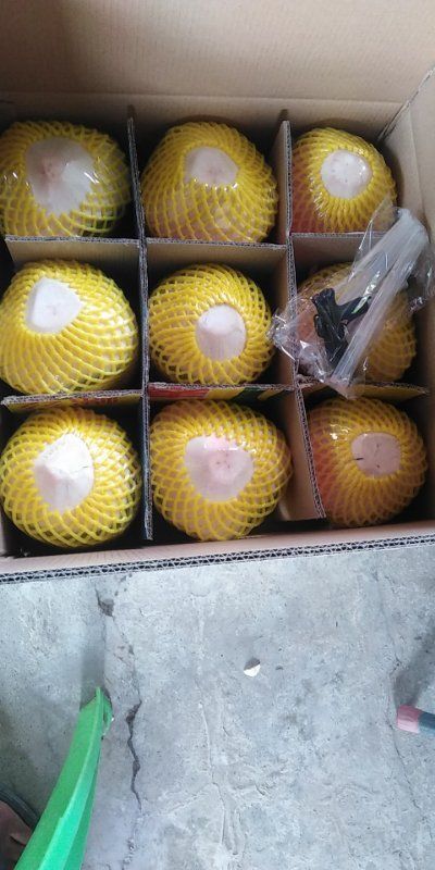 琼海市 海南椰子，大量批发，被誉为最纯净的水