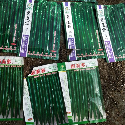 宿州线椒苗 8～10片真叶