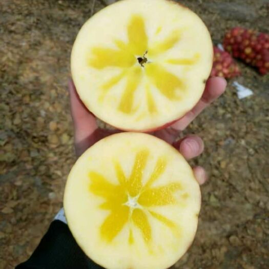 冰糖心苹果 预购