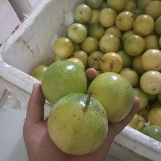 荔波县 黄金百香果