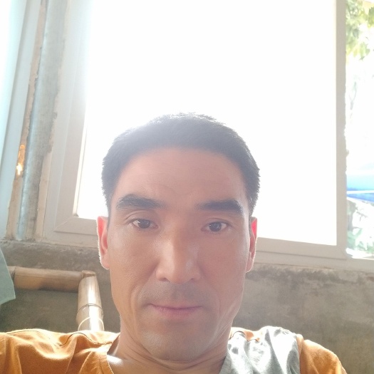 眉山白鲢鱼苗