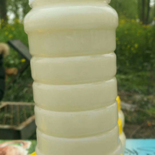 邓州市 纯蜂蜜（油菜蜜）