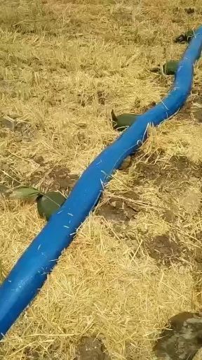 天津 农用布水带，方便省力
