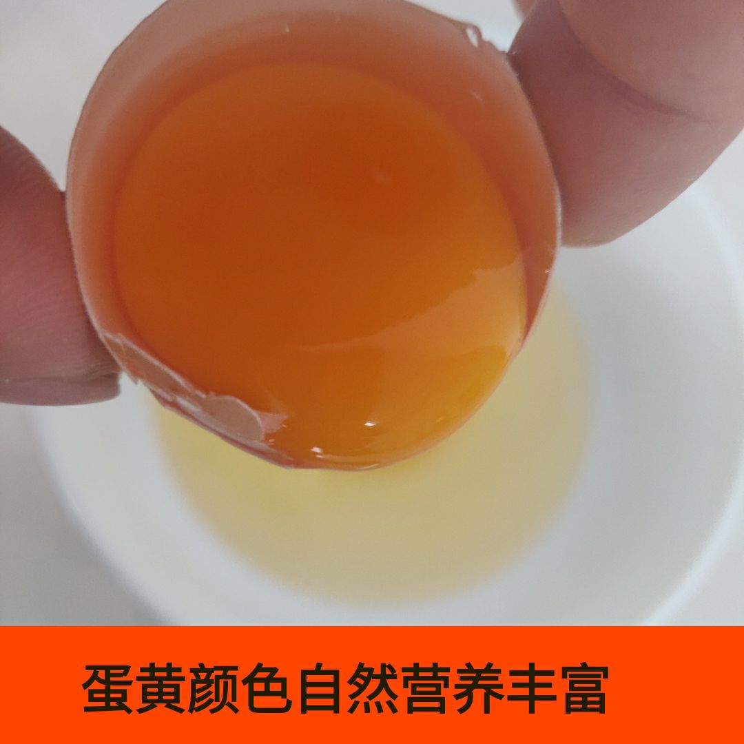  新鲜正宗土鸡蛋非大型养殖真实土鸡蛋