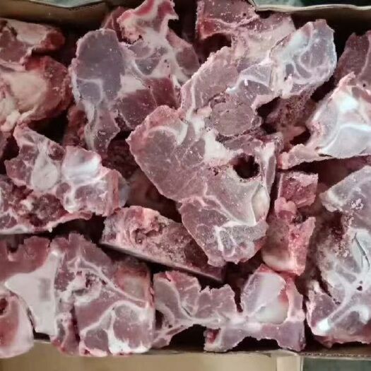 奈曼旗 多肉羊蝎子，肉多多，证件齐全，价格