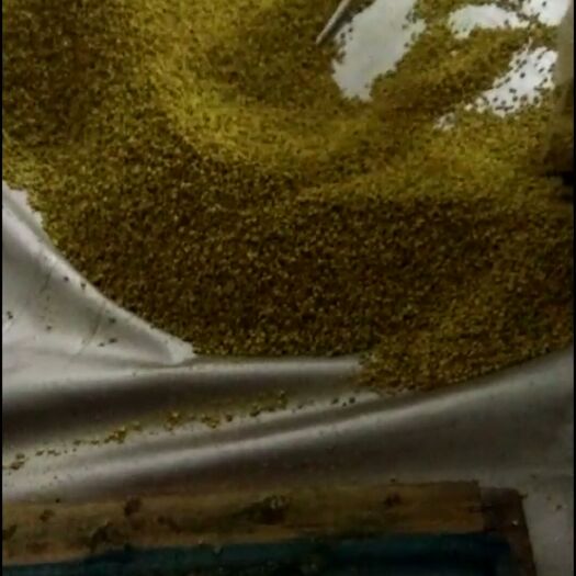 百花粉 春季杂粉