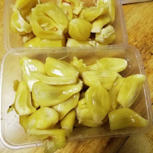 廉江市四季菠萝蜜苗 黄金珍珠菠萝苗