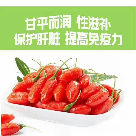 中卫黑枸杞 特优级