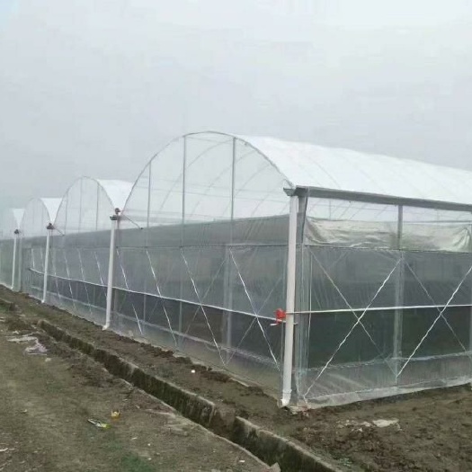 天津蔬菜大棚 温室大棚连体大棚