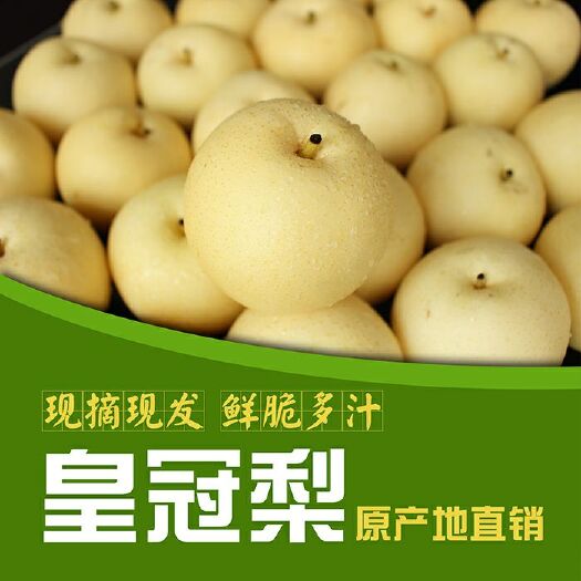 临西县皇冠梨 水果，原产地批发，望能和诚信人士长期合作。