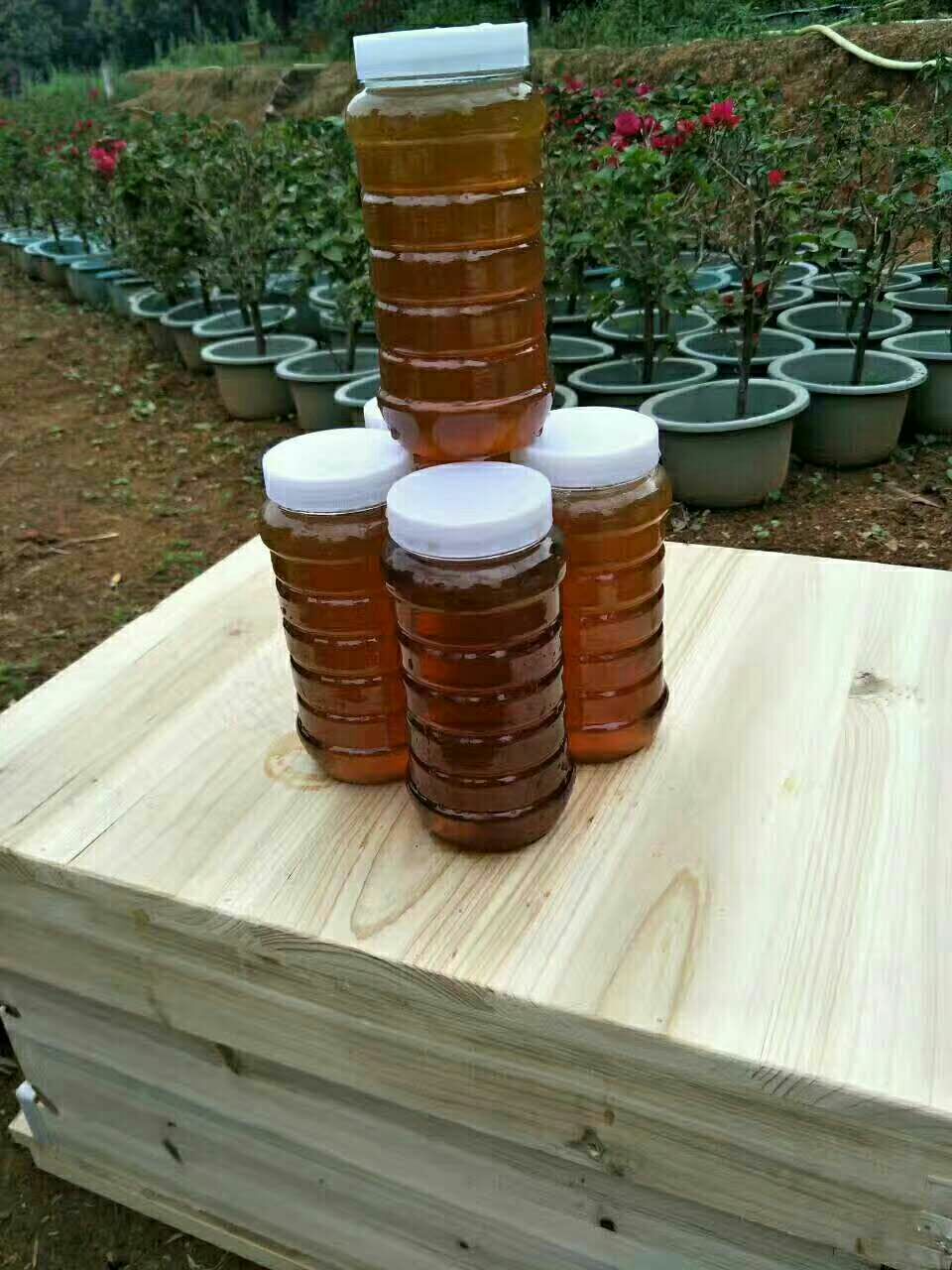  农家龙眼蜜纯手工制作非加工厂