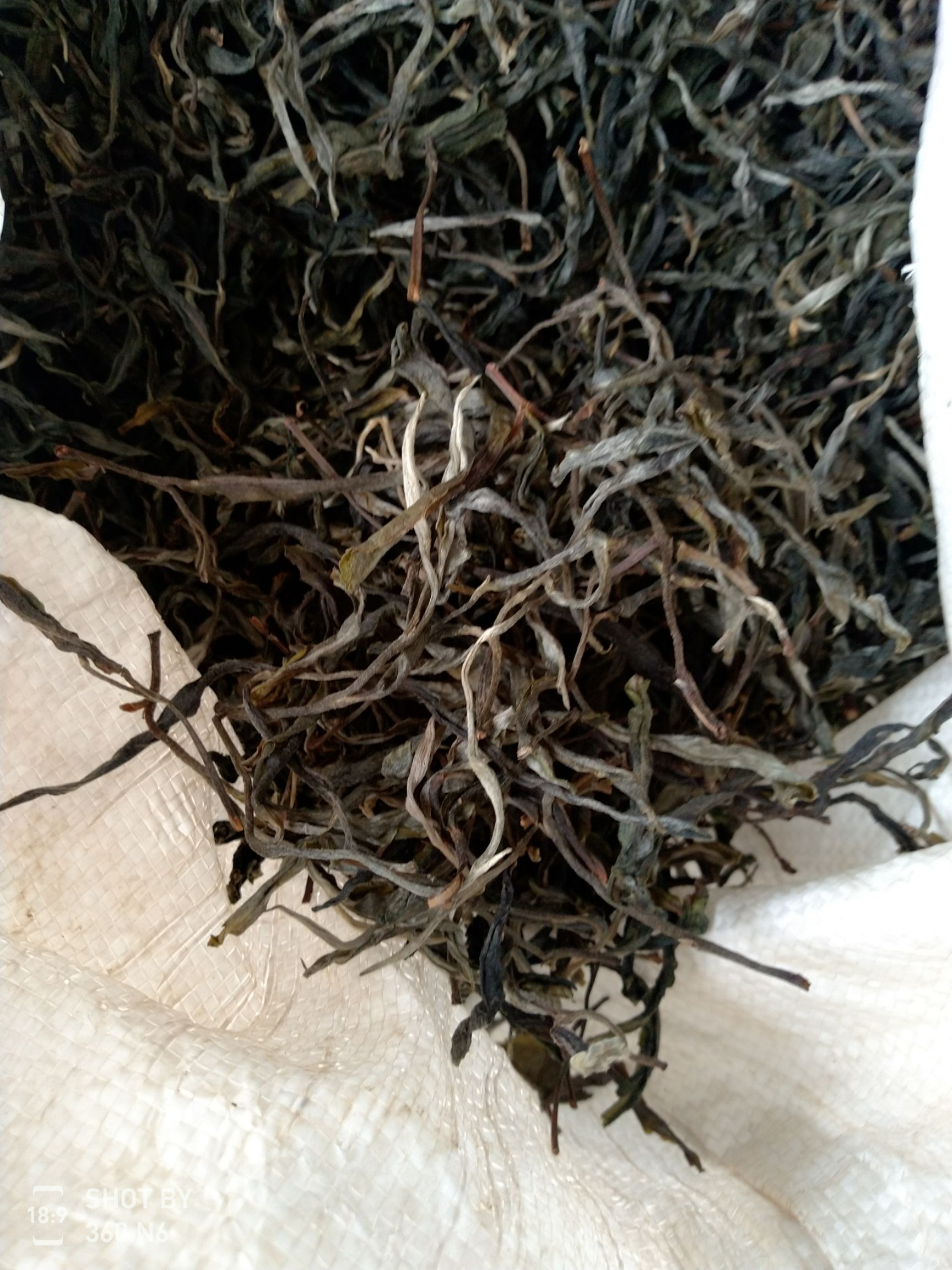 普洱饼茶 盒装