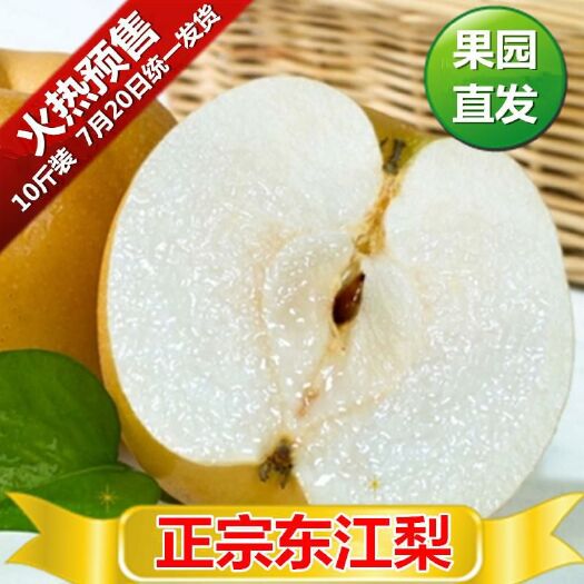 资兴市 果园现摘梨子东江湖新鲜水果特产东江梨香梨脆冠梨整箱10斤包